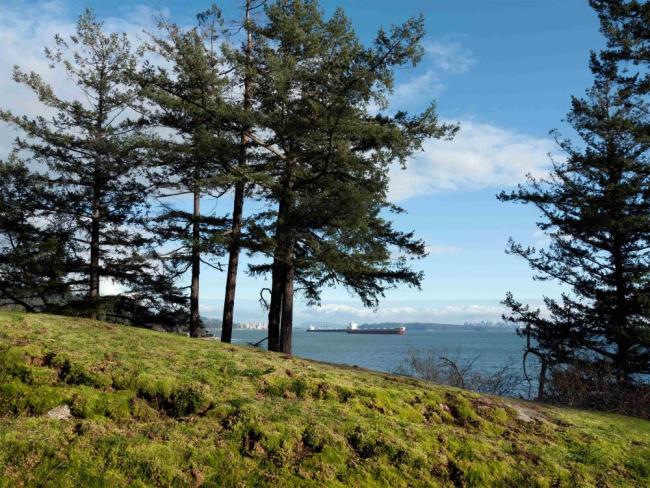 Ian Wallace, View From Pilot House Road, 2024