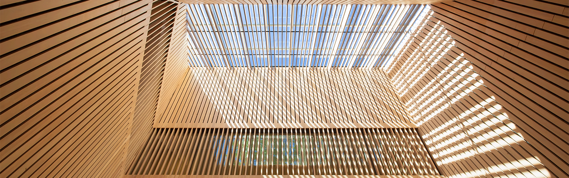 Audain Art Museum. View from the covered porch. The skylight above illuminates the wood providing a warm, luminous space for terraced seating.