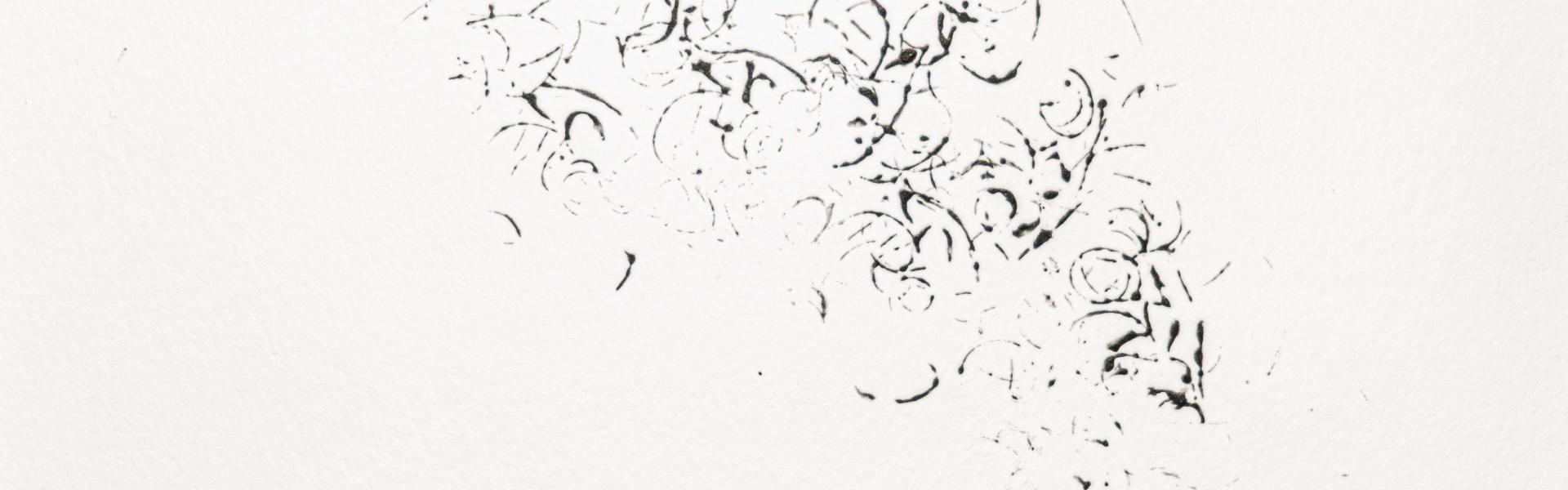 Rebecca Bair, Conditioning (detail), shea butter and charcoal hair monoprint. Courtesy of the artist.