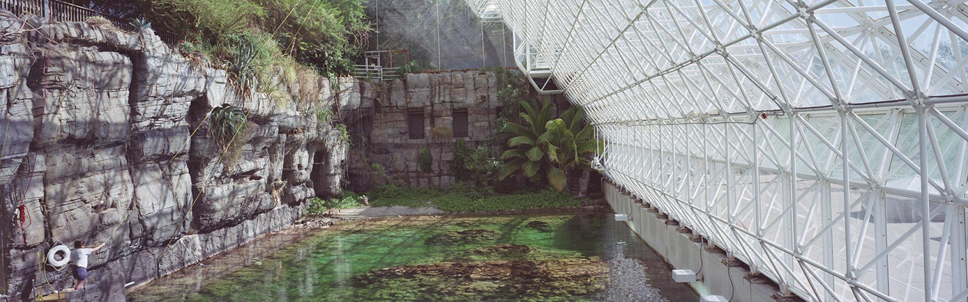 Jim Breukelman, Mesocosm #24, 2003, digital C-print, 86.4 x 101.6 cm