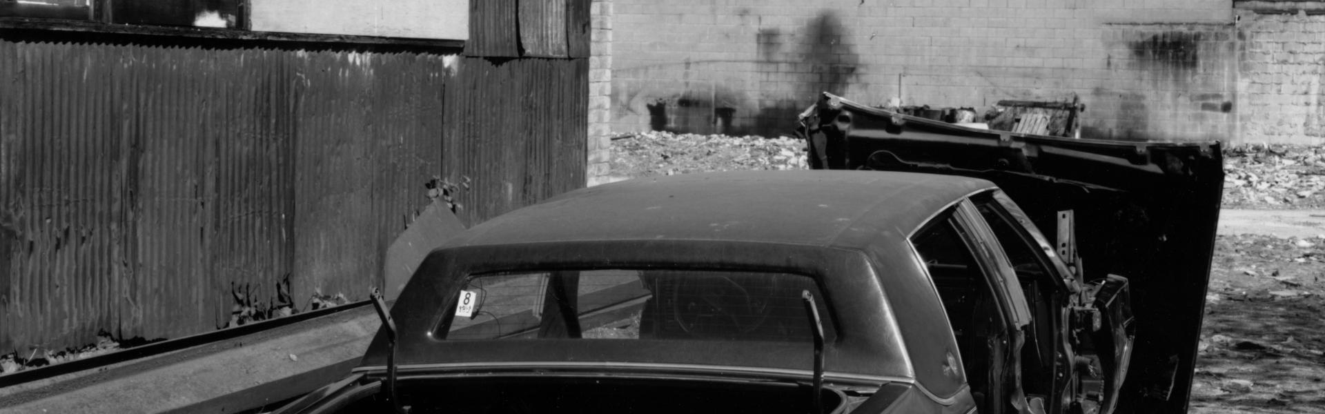 Roy Arden, d’Elegance #1 (detail), archival pigment print, 2000, 157.5 x 190.5 cm, KazLaw Collection