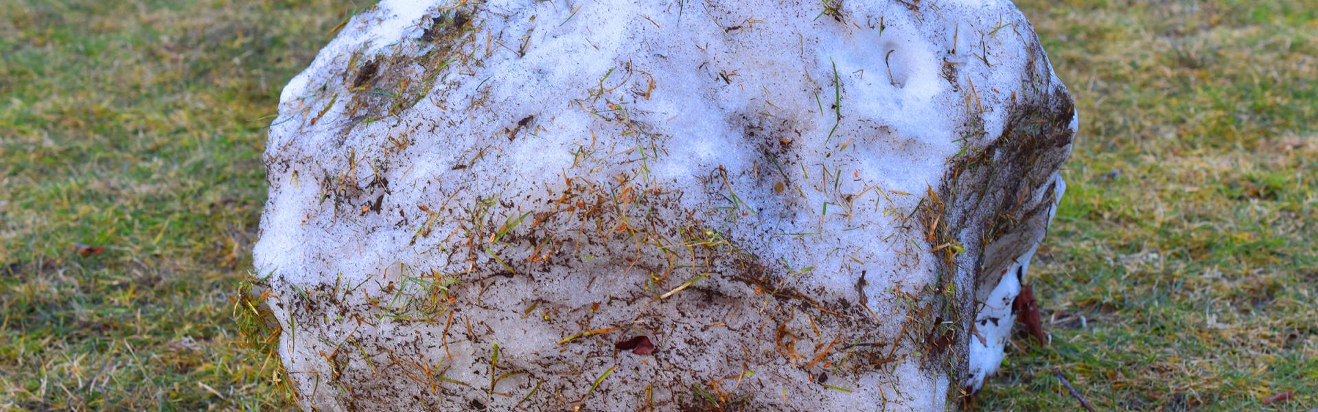 The Spaces Between Us: Jackie Wong