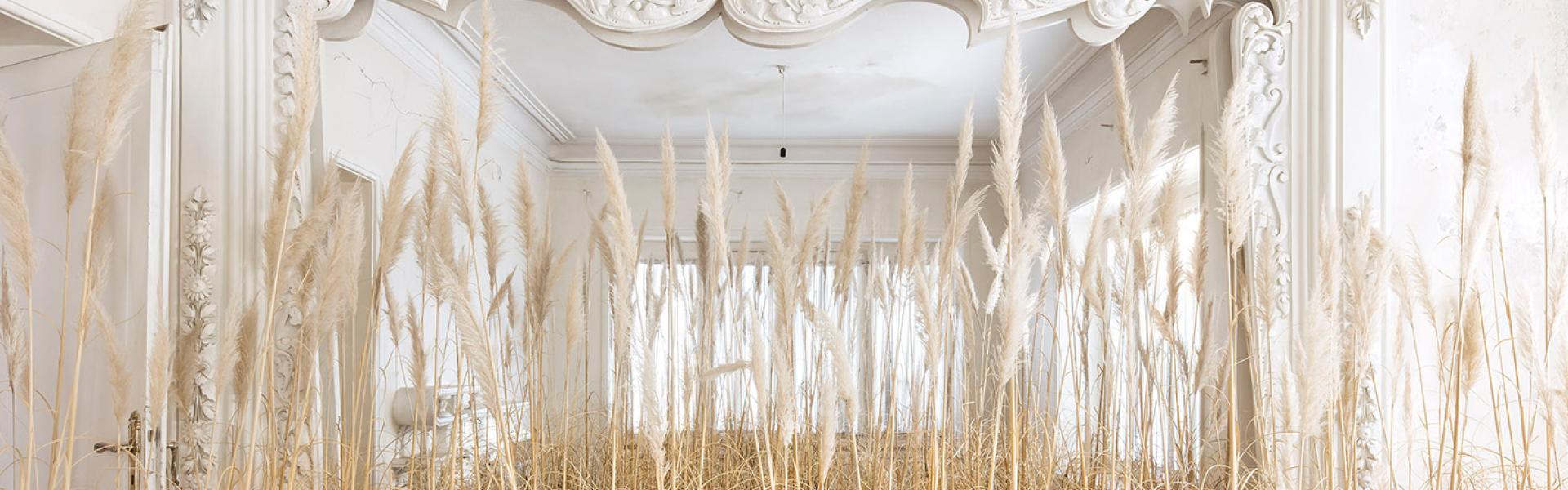 Gohar Dashti: Dissonance